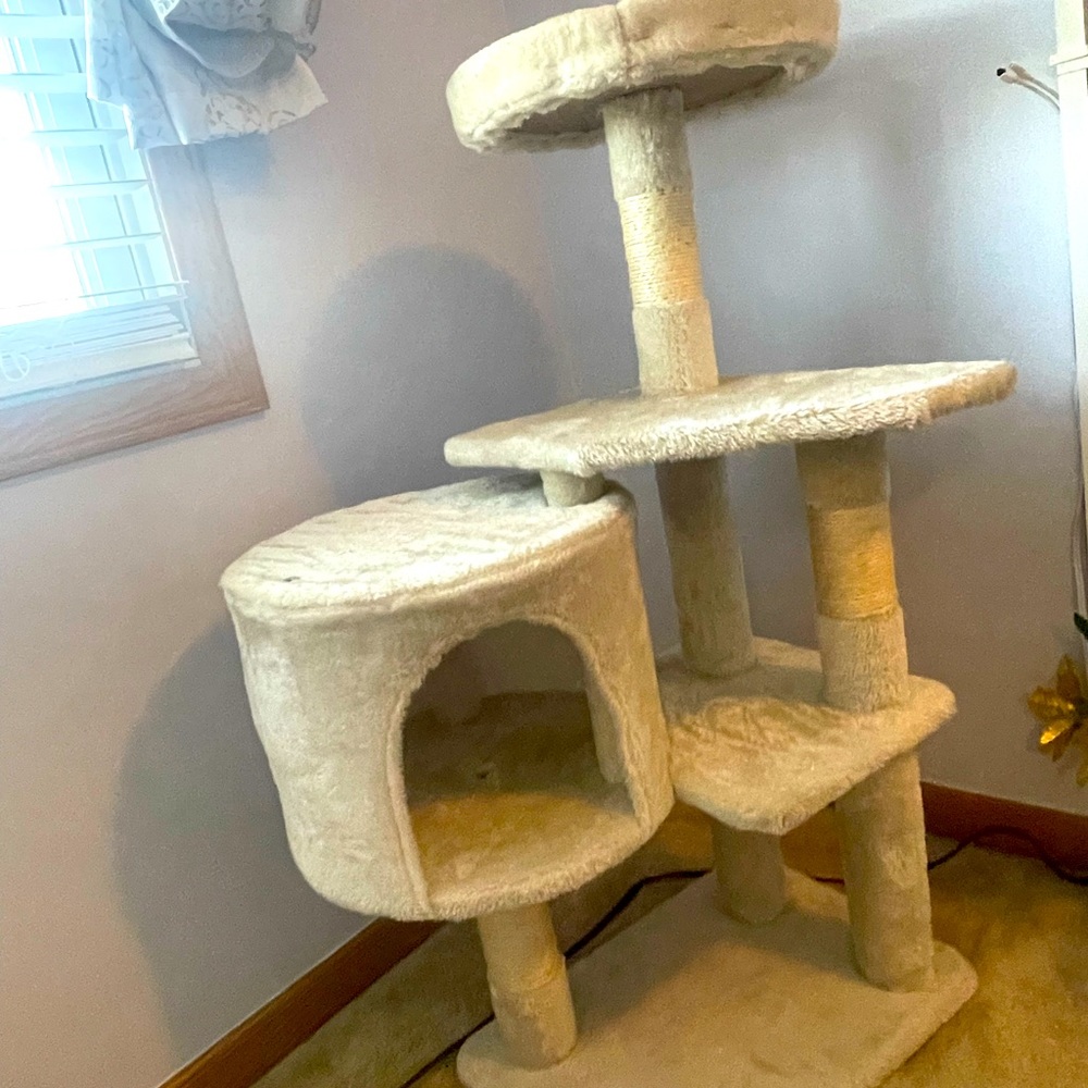 Cat tree climbing on and sleeping as well